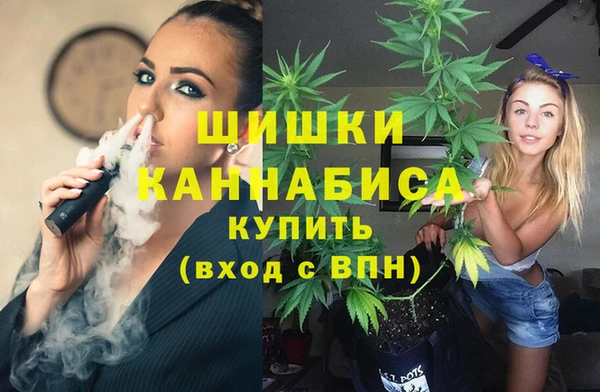 дживик Гусиноозёрск