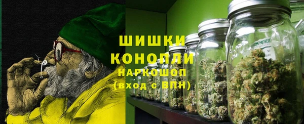 дживик Гусиноозёрск