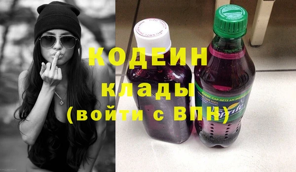 мяу мяу кристалл Гусь-Хрустальный