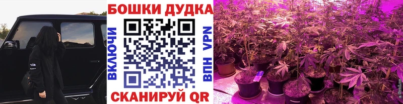 дарнет шоп  Псков  Бошки Шишки MAZAR 